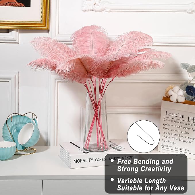 Holmgren Pink Craft Ostrich Feathers - 20pcs Making Kit 22 Inch Ostrich Feathers for Vase, Floral Arrangement, Wedding Party Centerpieces Home Decorations (Lotus Pink)