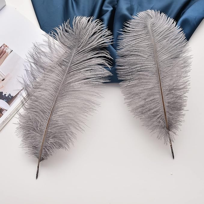 Ballinger Natural Gray Ostrich Feathers - 24pcs 8-10inch for Wedding Party Centerpieces Home Decor