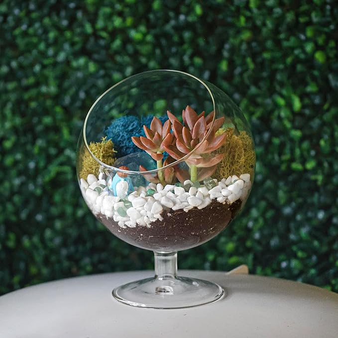 DIY Glass Plant Terrarium Kit for Adults, Metal Stand, Reindeer Moss, Crystals, Rocks, Tools & Figurine – Complete Starter Set
