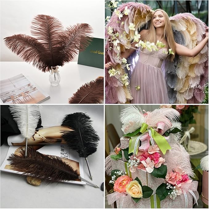 Ballinger Brown Big Ostrich Feathers - 24pcs 12-14inch Large Feathers for Party Centerpieces, Flower Arrangement and Home Decor