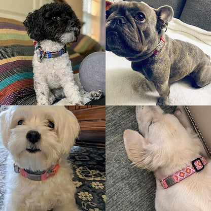 Personalized Dog & Cat ID Tags - Silent Slide On with Engraved Name - Custom for Small, Medium & Large Pets