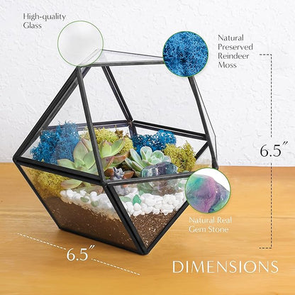 DIY 7" Geometric Terrarium Kit - Build Your Own Glass Terrarium for Adults & Kids with Moss, Crystals, Tools & Decorative Figurine - Mini Ecosystem - Handcrafted in The USA