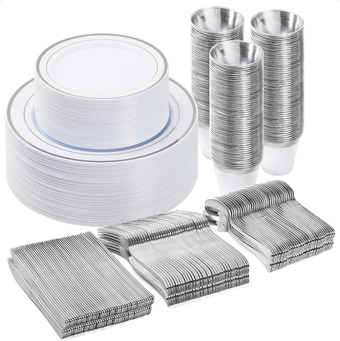 BESTVIP 300PCS Plastic Dinnerware Set (50 Guests), Silver Disposable Plates for Party, Wedding, Christmas, Anniversary, Includes: Dinner Plates, Dessert Plates, Cups, Spoons, Forks and Knives