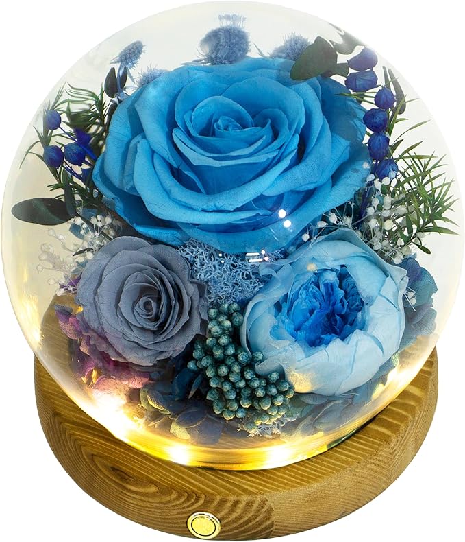 Valley of Rain & Forest Long-Lasting Real Flowers, Unique Floral Gift For you to send Love for All Occasions, for Indoor Decoration (Blue Rose, Grey & White-Blue Austin Roses)