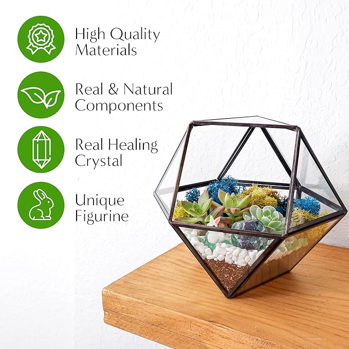 DIY 7" Geometric Terrarium Kit - Build Your Own Glass Terrarium for Adults & Kids with Moss, Crystals, Tools & Decorative Figurine - Mini Ecosystem - Handcrafted in The USA