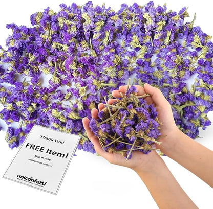 Dried Flower Forget Me Not Biodegradable Confetti - Real Flower Petals for Weddings, Flower Girl Toss, Wedding Send Off Ideas, Party Table Decoration | Boxed - 8oz (0.5lbs)