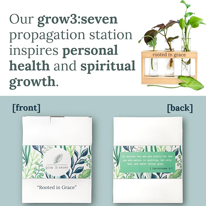 Rooted in Grace: Plant Propagation Stations: Plant Cutting Holder w/ 3 Glass Propagation Vases, Unique & Encouraging Christian Gifts for Women, Faith-Inspired Home Decor