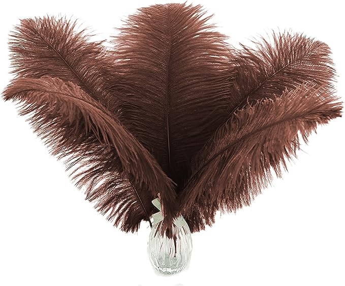 Ballinger Brown Big Ostrich Feathers - 24pcs 8-10inch Craft Feathers for Party Centerpieces, Flower Arrangement and Home Decor