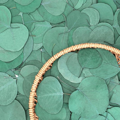 Eucalyptus Leaves, Rustic Boho Wedding Table Decor, 100% Natural Preserved Silver Dollar Eucalyptus Decor Green Leaves, Biodegradable Confetti for Weeding, DIY