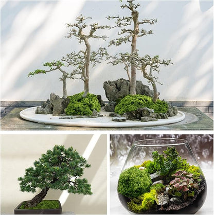Fake Green Moss for Plants Indoor, 5.3OZ Artificial Moss for Potted Plants Decor, DIY Decorative Moss for Crafts Fairy Garden Floral Wedding Model Making Glass Containers Home (150g)