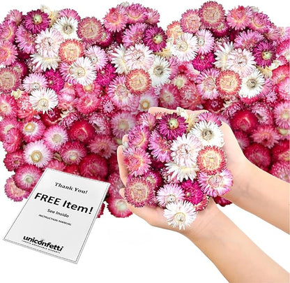 Dried Flower Pink Straw Daisy Biodegradable Confetti - Real Flower Petals for Weddings, Flower Girl Toss, Wedding Send Off Ideas, Party Table Decoration | Boxed - 8oz (0.5lbs)