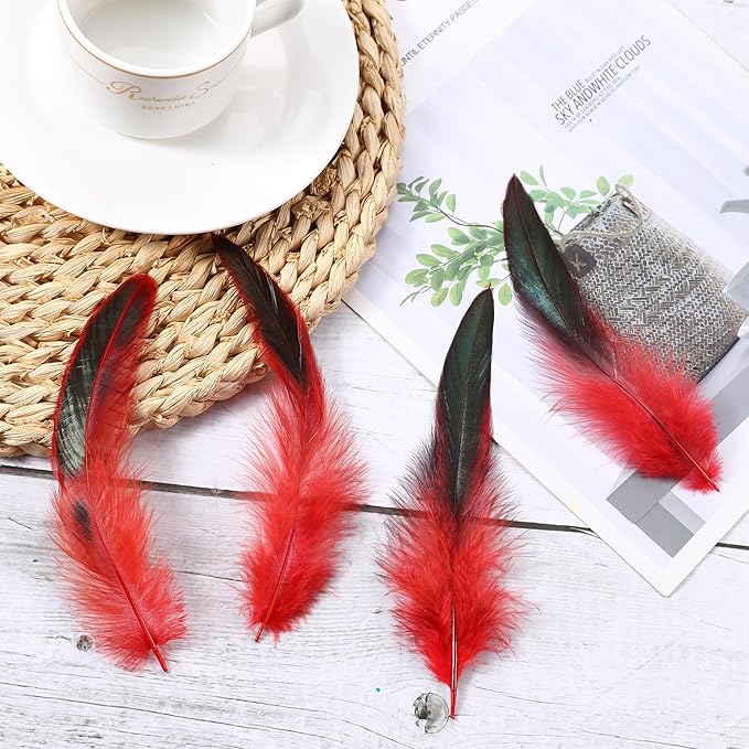 SOGUGOM Red Rooster Tail Feathers - 200 pcs 5-7 inch Craft Bulk Feathers for Craft Projects, Halloween, Hats and Party(Red)