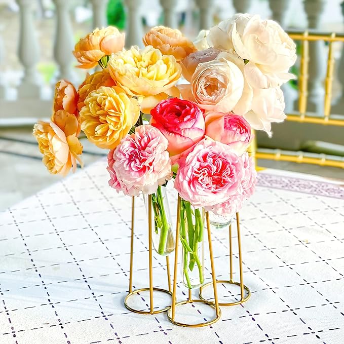 Propagation Station Terrariums with Gold Metal Stand - Kate Aspen 3 Glass Test Tube Planters for Indoor Plant, Air Plants, Plant Clippings, Cut Flowers, Herbs, Succulents | Home Decor Table Decoration