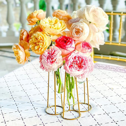 Propagation Station Terrariums with Gold Metal Stand - Kate Aspen 3 Glass Test Tube Planters for Indoor Plant, Air Plants, Plant Clippings, Cut Flowers, Herbs, Succulents | Home Decor Table Decoration