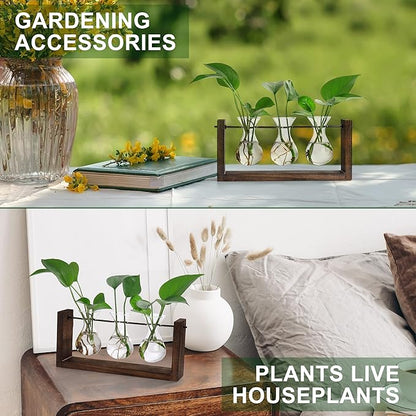 YIBOT Wall Hanging Planter Propagation Station, Plant Terrarium with Wooden Stand, Hydroponics Plants Home Office Living Room Decor Gift-3 Bulb Glass Vases