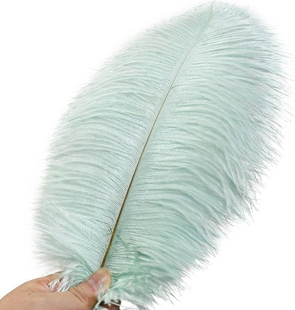 Ballinger Aqua Green Ostrich Feathers - 24pcs 12-14inch Craft Feathers Bulk for Wedding Party Centerpieces Mardi Gras Decorations and Home Decor