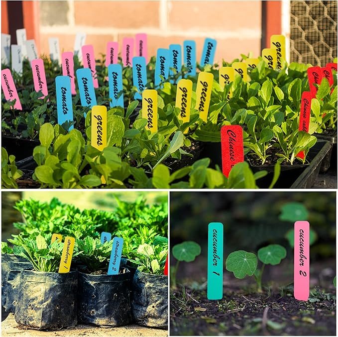 Plant Labels 300Pcs 4 Inch Plastic Plant Name Tags for Seedlings Garden Labels Markers Nursery Plant Tags Seed Labels for Outdoor Garden Plant Label Stakes with Permanet Marking Pen (Mix-Color)