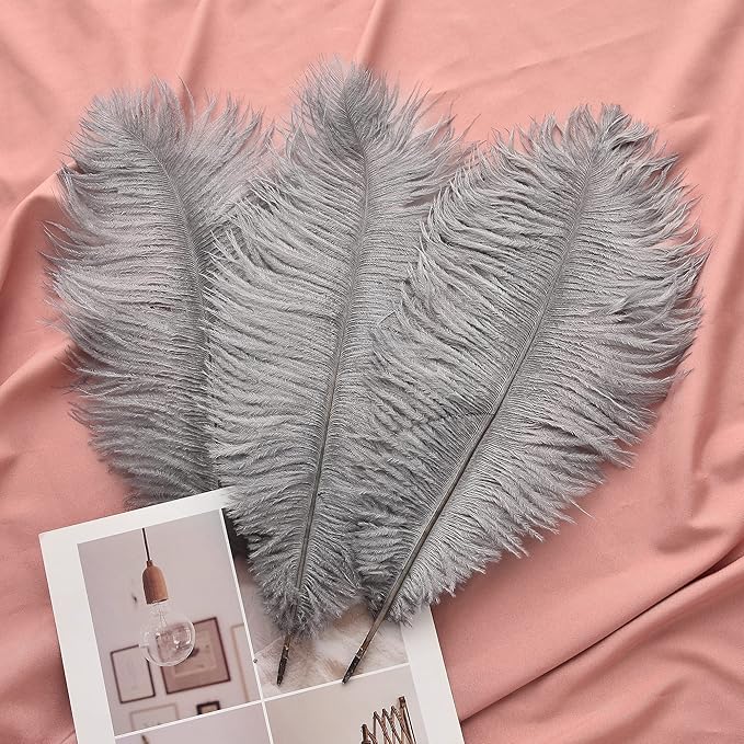 Ballinger Natural Gray Ostrich Feathers - 24pcs 8-10inch for Wedding Party Centerpieces Home Decor