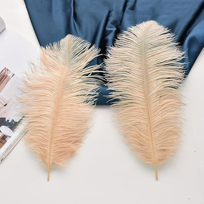 Ballinger Large Champagne Ostrich Feathers - 24pcs 12-14inch Boho Feathers for Vase and Home Decor Wedding Party Centerpieces