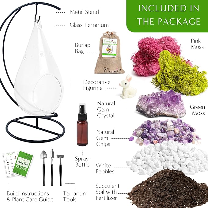 7" DIY Teardrop Terrarium Kit with Live Plants - Hanging Glass Planter with Stand for Adults & Kids - Build a Mini Ecosystem with Moss, Crystals, Tools - Made in The USA
