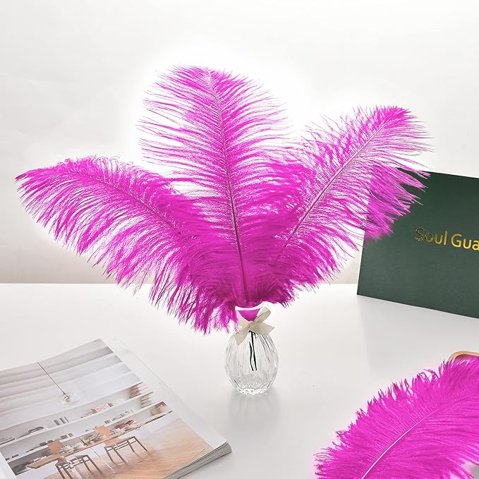 Ballinger Fuchsia Large Ostrich Feathers - 24pcs 8-10inch Hot Pink Feathers for Party Centerpieces, Flower Arrangement and Home Decor