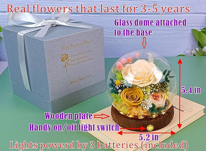 Valley of Rain & Forest Long-Lasting Real Flowers, Unique Floral Gift for You to Send Love for All Occasions, for Indoor Decoration (Champagne & Yellow Roses Arrangement)