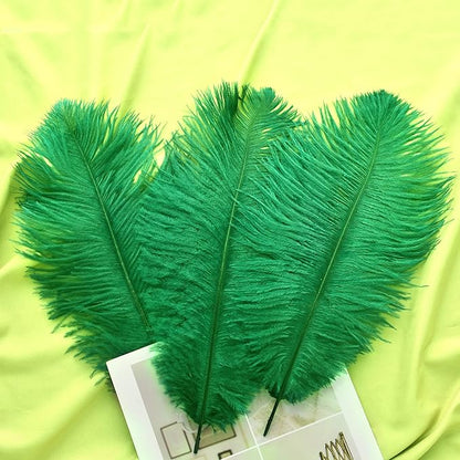 Ballinger Craft Green Ostrich Feathers - 24pcs 8-10inch Feathers for Vase, Wedding Party Centerpieces Mardi Gras Decorations and Home Decor…