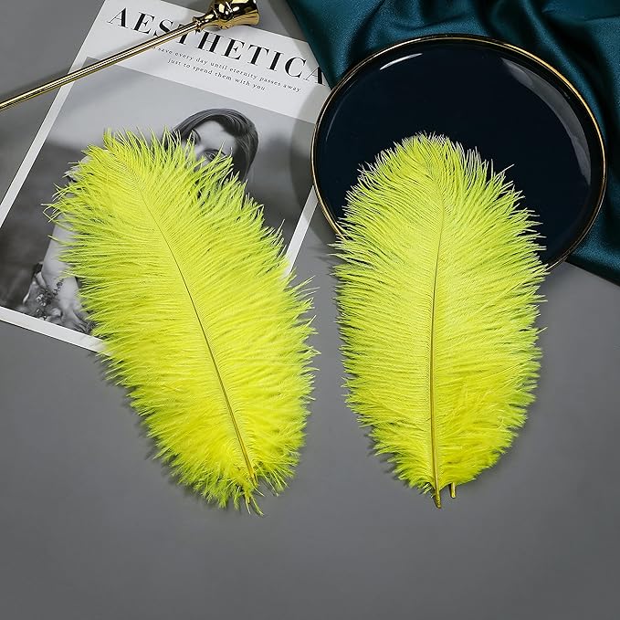 Ballinger Fluorescent Yellow Ostrich Feathers - 24Pcs 12-14inch Long Feathers Bulk for Vase, Party Centerpieces, Mardi Gras Decorations and Home Decor