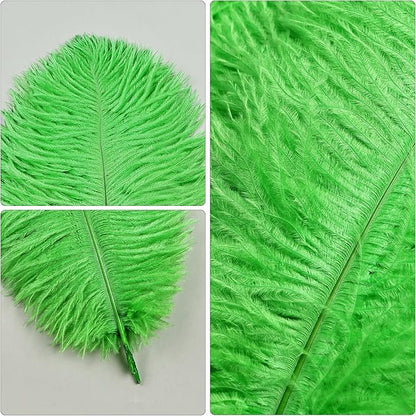 THARAHT Green Ostrich Feathers 24pcs Natural Bulk 10-12Inch 25cm-30cm for Crafts Wedding Party Centerpieces Mardi Gras and Home Decoration Feathers
