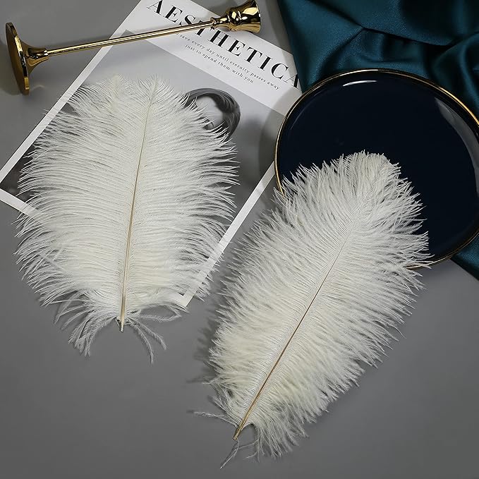 Ballinger Beige Ostrich Feathers Bulk - 24pcs 10-12inch Boho Feathers for vase，Wedding Party Centerpieces and Home Decor