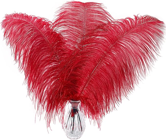 Larryhot Red Large Ostrich Feathers - 10pcs 16-18 inch Feathers for Vase,Wedding Centerpieces and Carnival Party(Red)