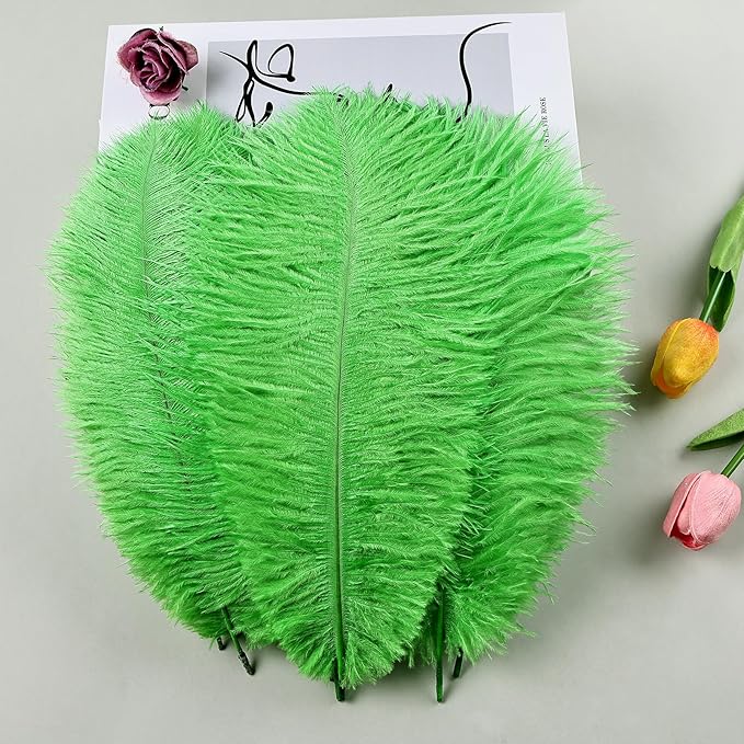 THARAHT Green Ostrich Feathers 24pcs Natural Bulk 10-12Inch 25cm-30cm for Crafts Wedding Party Centerpieces Mardi Gras and Home Decoration Feathers
