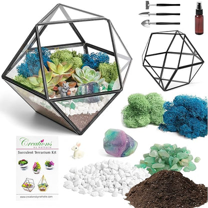 DIY 7" Geometric Terrarium Kit - Build Your Own Glass Terrarium for Adults & Kids with Moss, Crystals, Tools & Decorative Figurine - Mini Ecosystem - Handcrafted in The USA